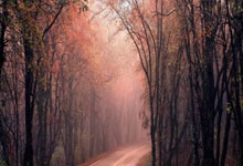 比较好的炒股票的软件:股票的杠杆是什么-AI浪潮带动 光通信行业多家科创板公司上半年交出亮眼业绩